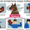 Как вести себя с собакой без владельца!