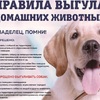Убедительная просьба - не отпускайте своих собак на самовыгул!